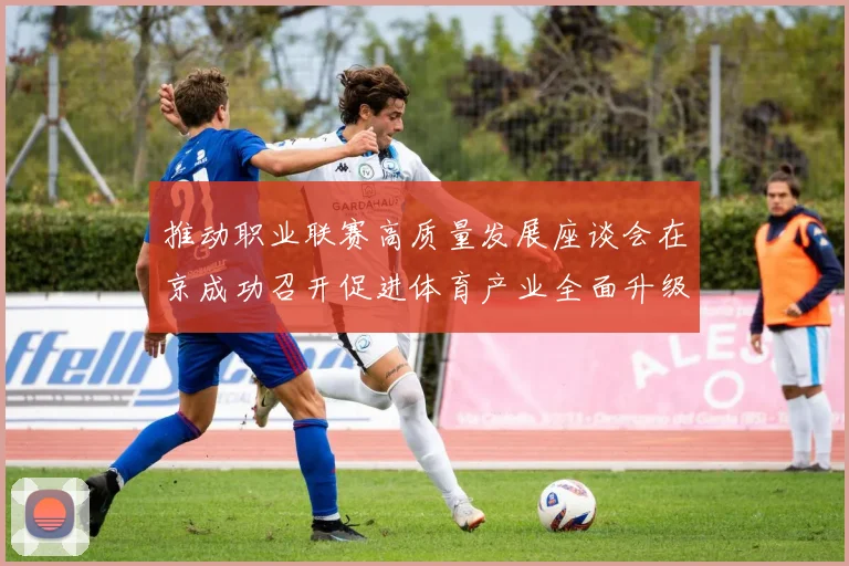 推动职业联赛高质量发展座谈会在京成功召开促进体育产业全面升级与创新发展