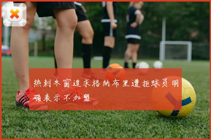 热刺冬窗追求格纳布里遭拒球员明确表示不加盟