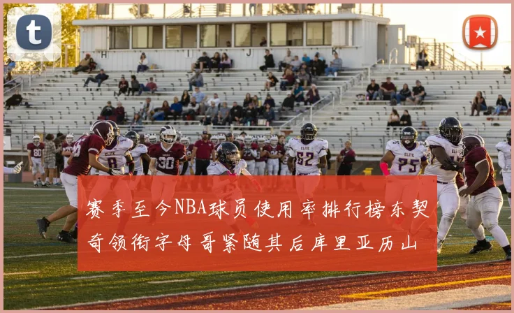 赛季至今NBA球员使用率排行榜东契奇领衔字母哥紧随其后库里亚历山大表现抢眼