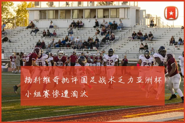 扬科维奇批评国足战术乏力亚洲杯小组赛惨遭淘汰