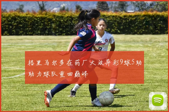 格里马尔多在药厂大放异彩9球5助助力球队重回巅峰